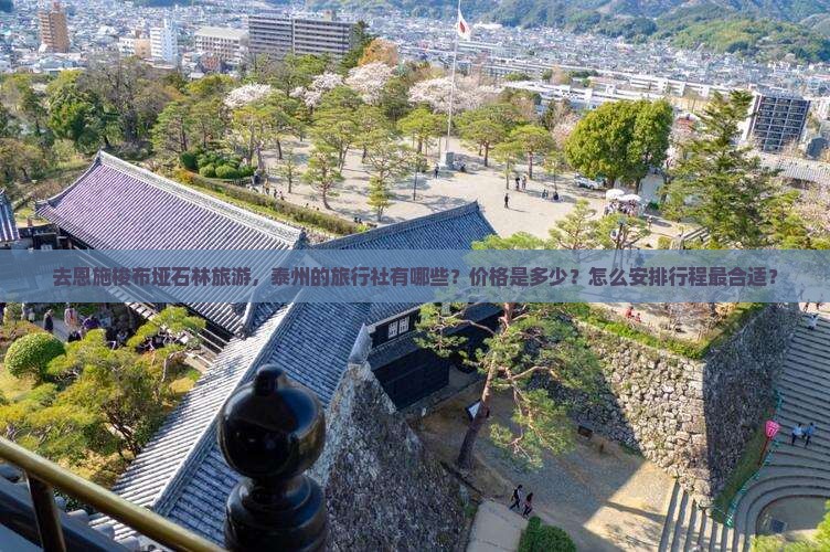 去恩施梭布垭石林旅游，泰州的旅行社有哪些？价格是多少？怎么安排行程最合适？