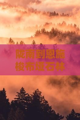 陇南到恩施梭布垭石林五日跟团游