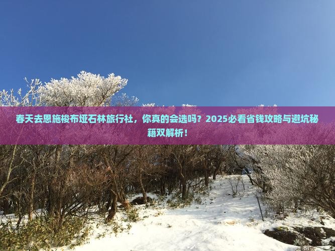 春天去恩施梭布垭石林旅行社