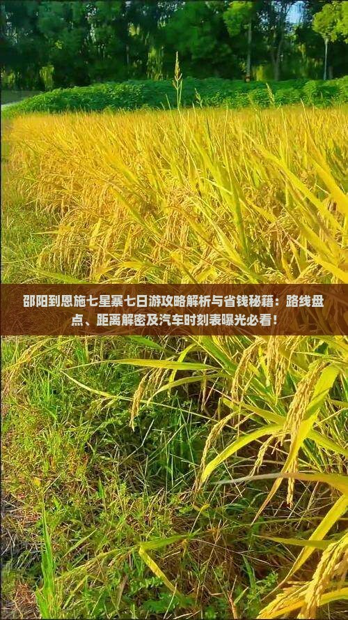 邵阳到恩施七星寨七日游