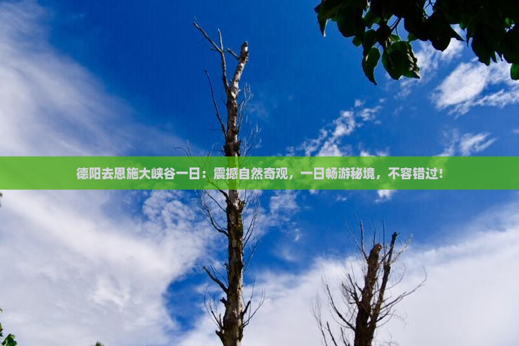 德阳去恩施大峡谷一日