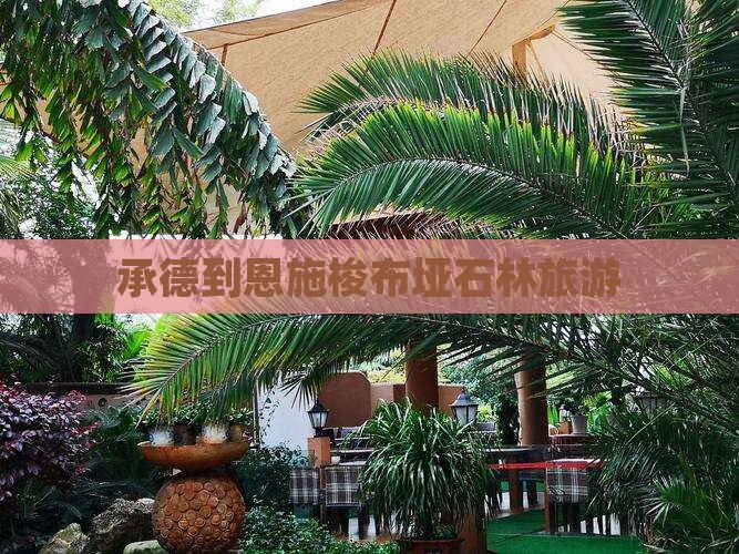 承德到恩施梭布垭石林旅行社