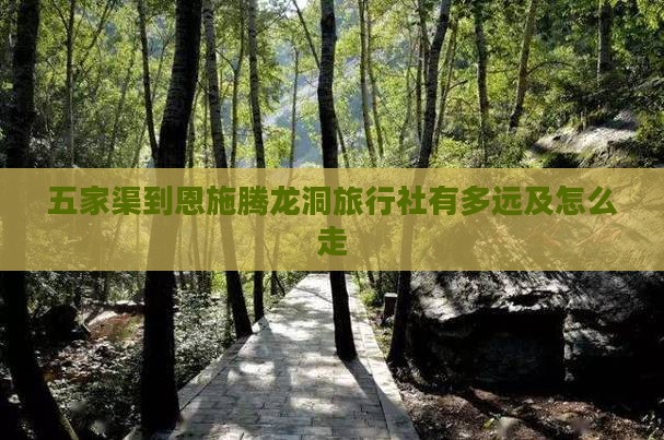 五家渠到恩施腾龙洞旅行社