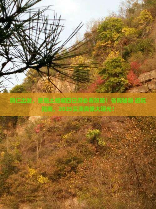铜仁去恩施土司城四日游
