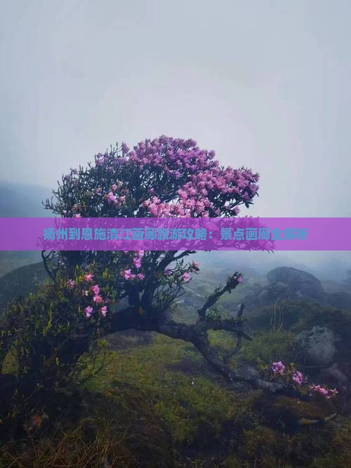 扬州到恩施清江画廊旅行社