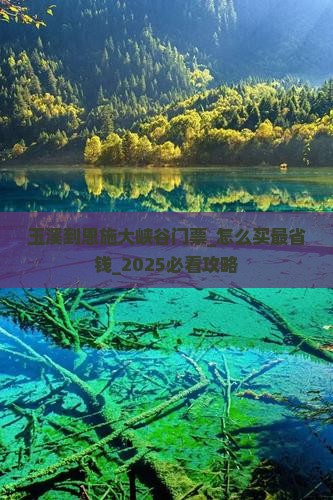 玉溪到恩施大峡谷门票