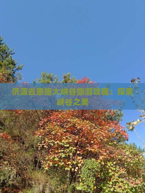 济源去恩施大峡谷旅游