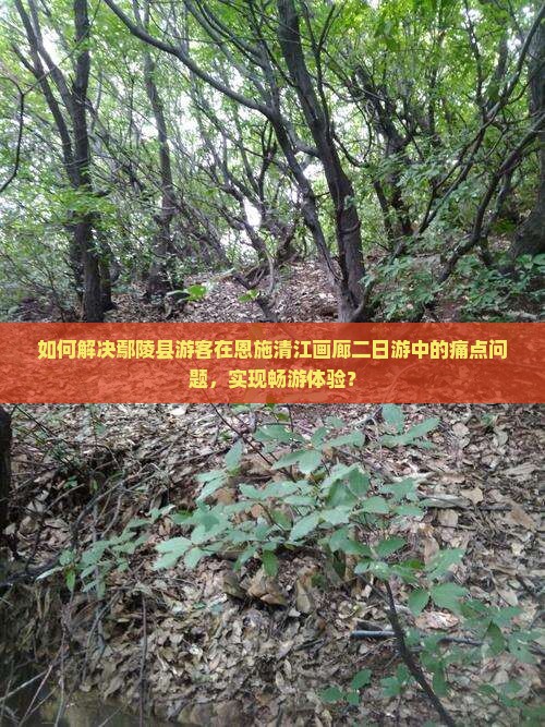 如何解决鄢陵县游客在恩施清江画廊二日游中的痛点问题，实现畅游体验？