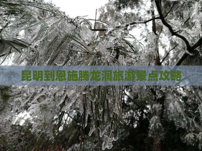 昆明到恩施腾龙洞旅游景点攻略