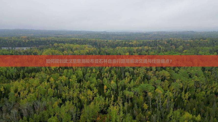 如何规划武汉至恩施梭布垭石林自由行路犀解决交通与住宿痛点？