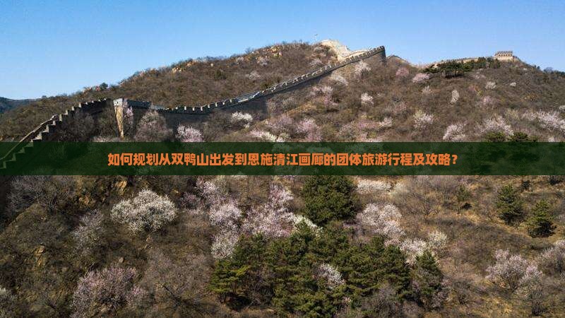 如何规划从双鸭山出发到恩施清江画廊的团体旅游行程及攻略？