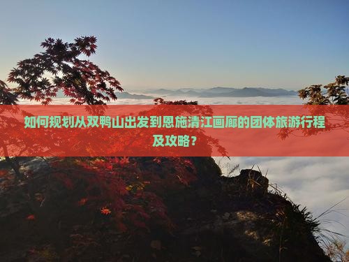 如何规划从双鸭山出发到恩施清江画廊的团体旅游行程及攻略？