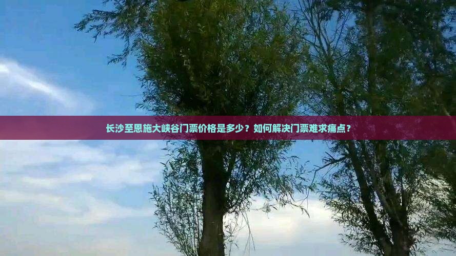 长沙至恩施大峡谷门票价格是多少?如何解决门票难求痛点? 长沙至恩施大峡谷门票价格是多少?如何解决门票难求痛点?