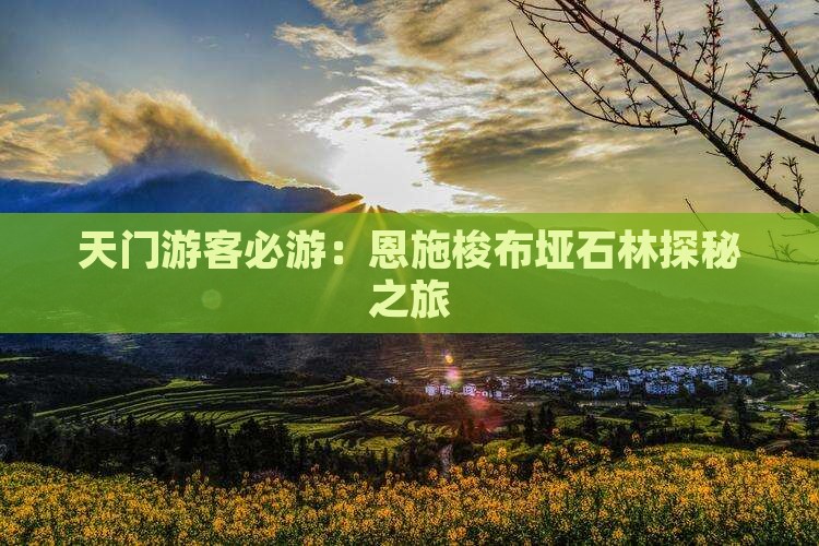 天门游客必游：恩施梭布垭石林探秘之旅