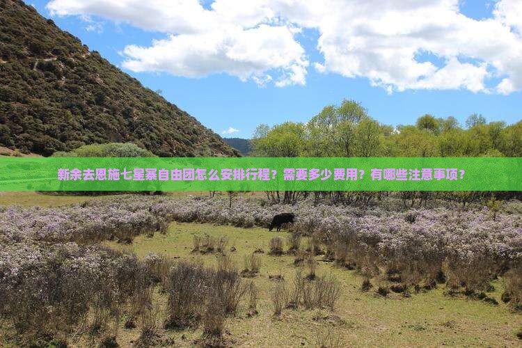 新余去恩施七星寨自由团怎么安排行程？需要多少费用？有哪些注意事项？