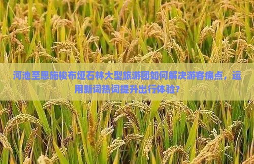 河池至恩施梭布垭石林大型旅游团如何解决游客痛点，运用新词热词提升出行体验？