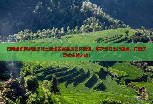 如何组织新乡至恩施土司城的高品质团体旅游，解决游客出行痛点，打造沉浸式体验之旅？