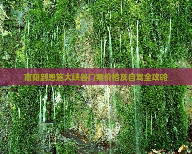 南阳到恩施大峡谷门票价格及自驾全攻略