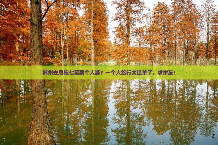 郴州去恩施七星寨个人游？一个人旅行太孤单了，求拼友！