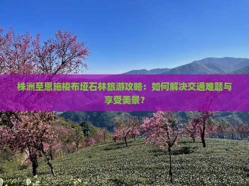 株洲至恩施梭布垭石林旅游攻略：如何解决交通难题与享受美景？