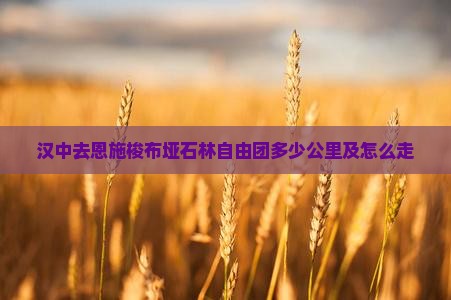 汉中去恩施梭布垭石林自由团多少公里及怎么走