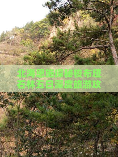 北海恩施探秘梭布垭石林五日深度旅游攻略