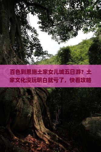 百色到恩施土家女儿城五日游？土家文化没玩明白就亏了，快看攻略