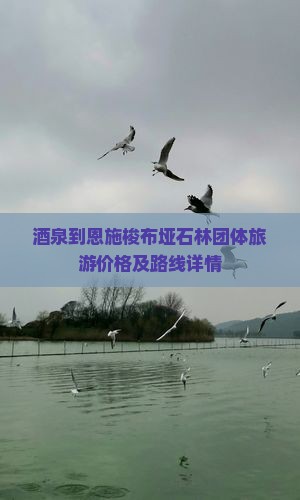 酒泉到恩施梭布垭石林团体旅游价格及路线详情
