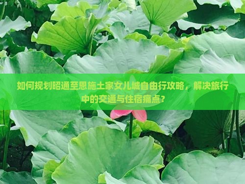 如何规划昭通至恩施土家女儿城自由行攻略，解决旅行中的交通与住宿痛点？