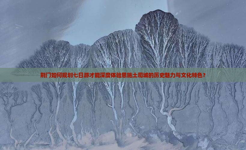 荆门如何规划七日游才能深度体验恩施土司城的历史魅力与文化特色？