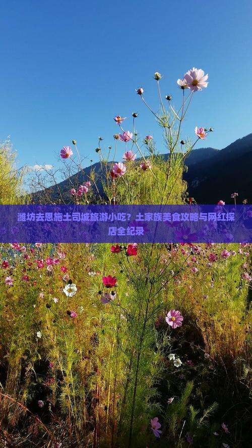 潍坊去恩施土司城旅游小吃？土家族美食攻略与网红探店全纪录