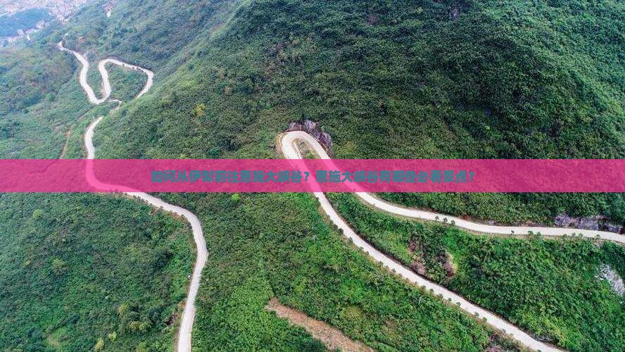 如何从伊犁前往恩施大峡谷？恩施大峡谷有哪些必看景点？