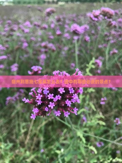 宿州到恩施七星寨怎么去？途中有哪些必去的景点？