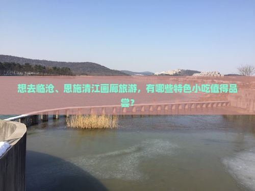 想去临沧、恩施清江画廊旅游，有哪些特色小吃值得品尝？