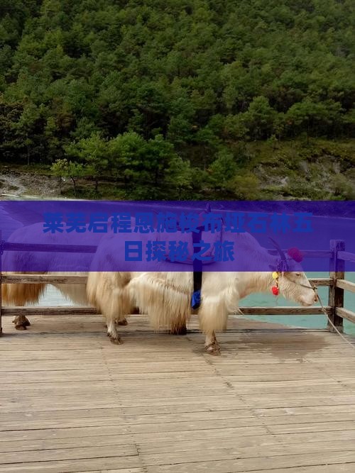 莱芜启程恩施梭布垭石林五日探秘之旅