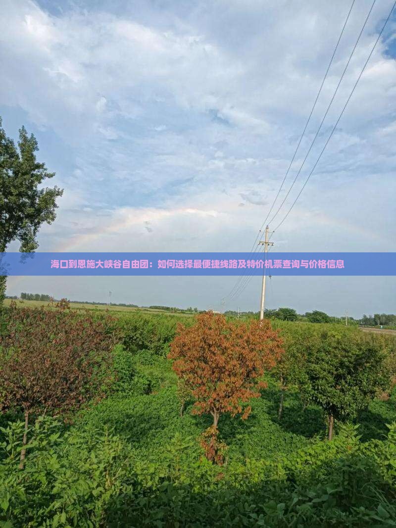 海口到恩施大峡谷自由团：如何选择最便捷线路及特价机票查询与价格信息