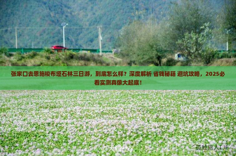 张家口去恩施梭布垭石林三日游
