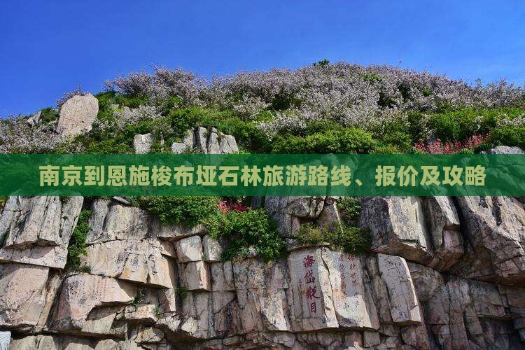南京到恩施梭布垭石林旅游