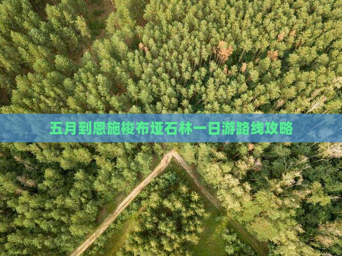 五月到恩施梭布垭石林一日