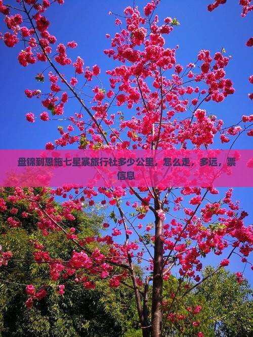 盘锦到恩施七星寨旅行社