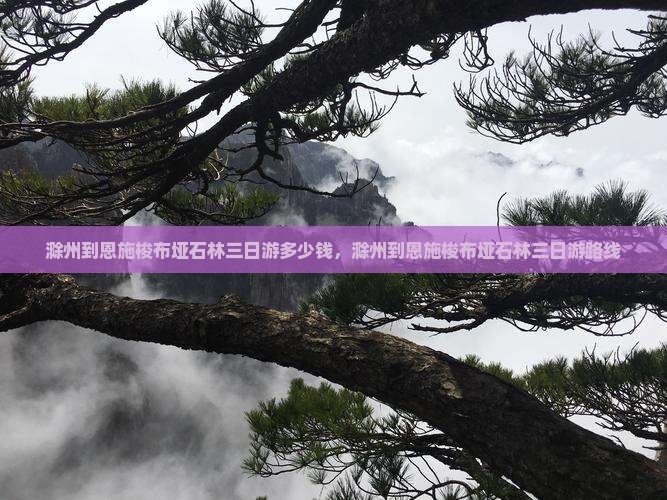 滁州到恩施梭布垭石林三日游