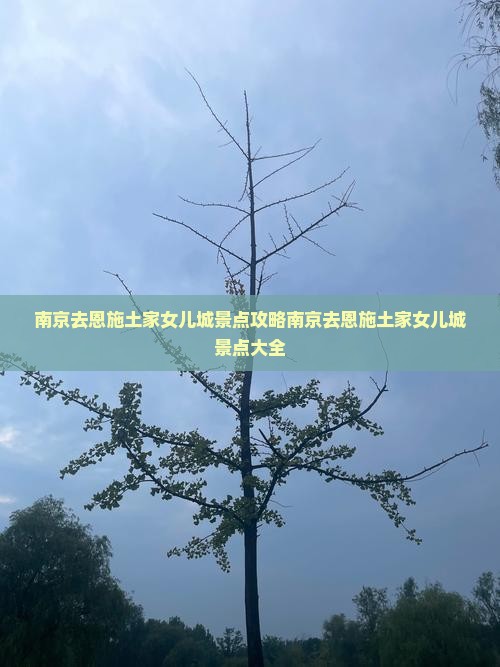 南京去恩施土家女儿城景点