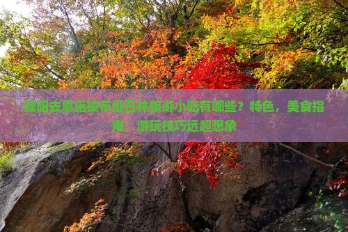濮阳去恩施梭布垭石林旅游小吃