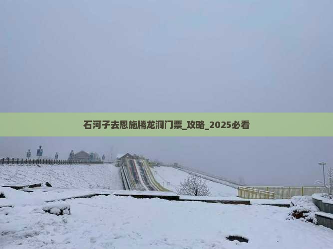石河子去恩施腾龙洞门票