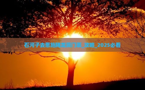 石河子去恩施腾龙洞门票