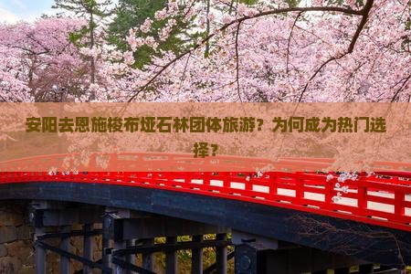 安阳去恩施梭布垭石林团体旅游