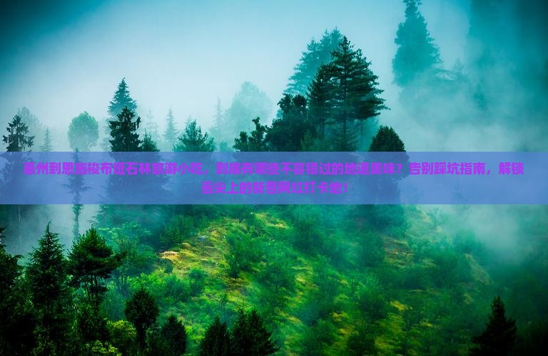 惠州到恩施梭布垭石林旅游小吃
