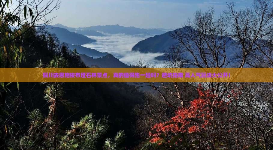 铜川去恩施梭布垭石林景点