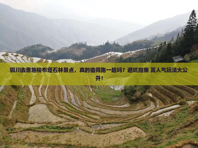 铜川去恩施梭布垭石林景点
