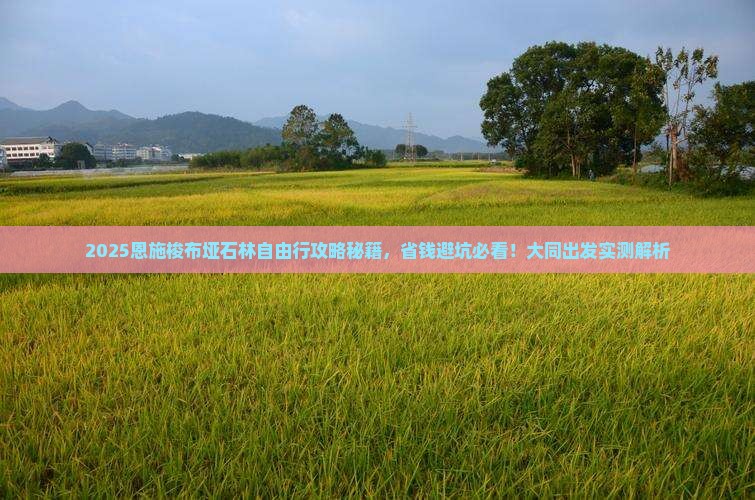 大同去恩施梭布垭石林自由行
